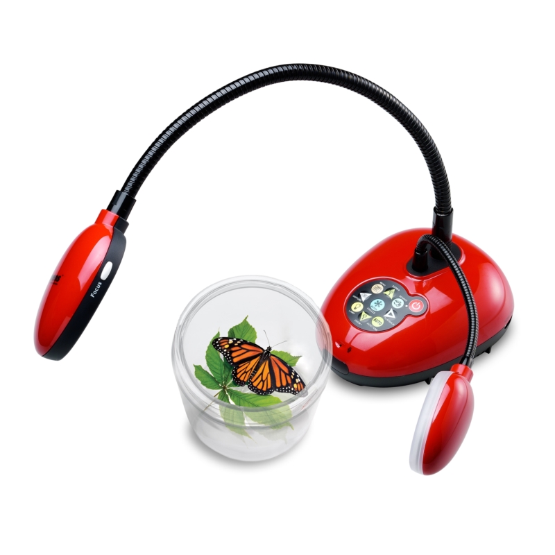 DC170 - изображение 5