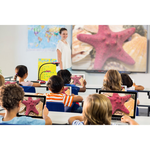 DC193 - изображение 9