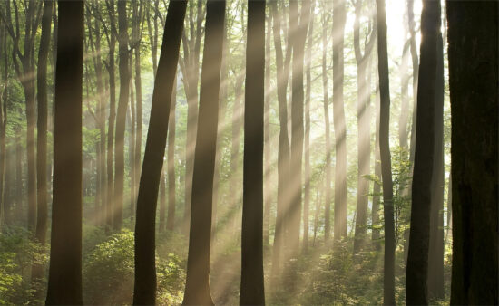 HZ-500 - изображение 13