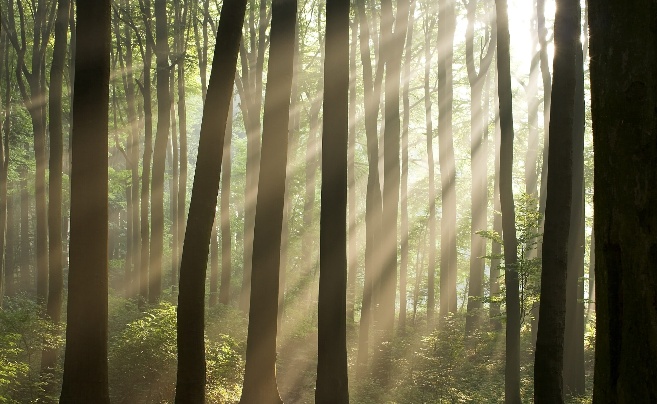 HZ-500 - изображение 3