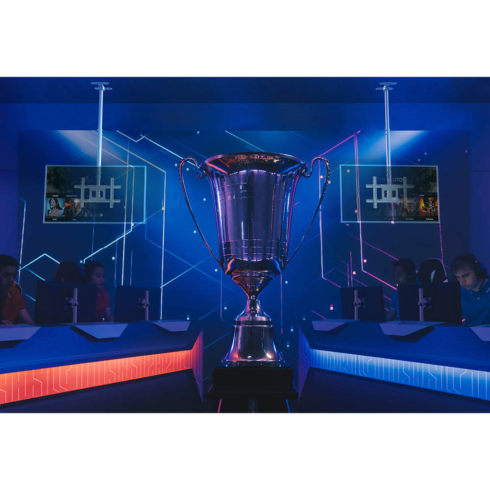 N1L-B - изображение 17