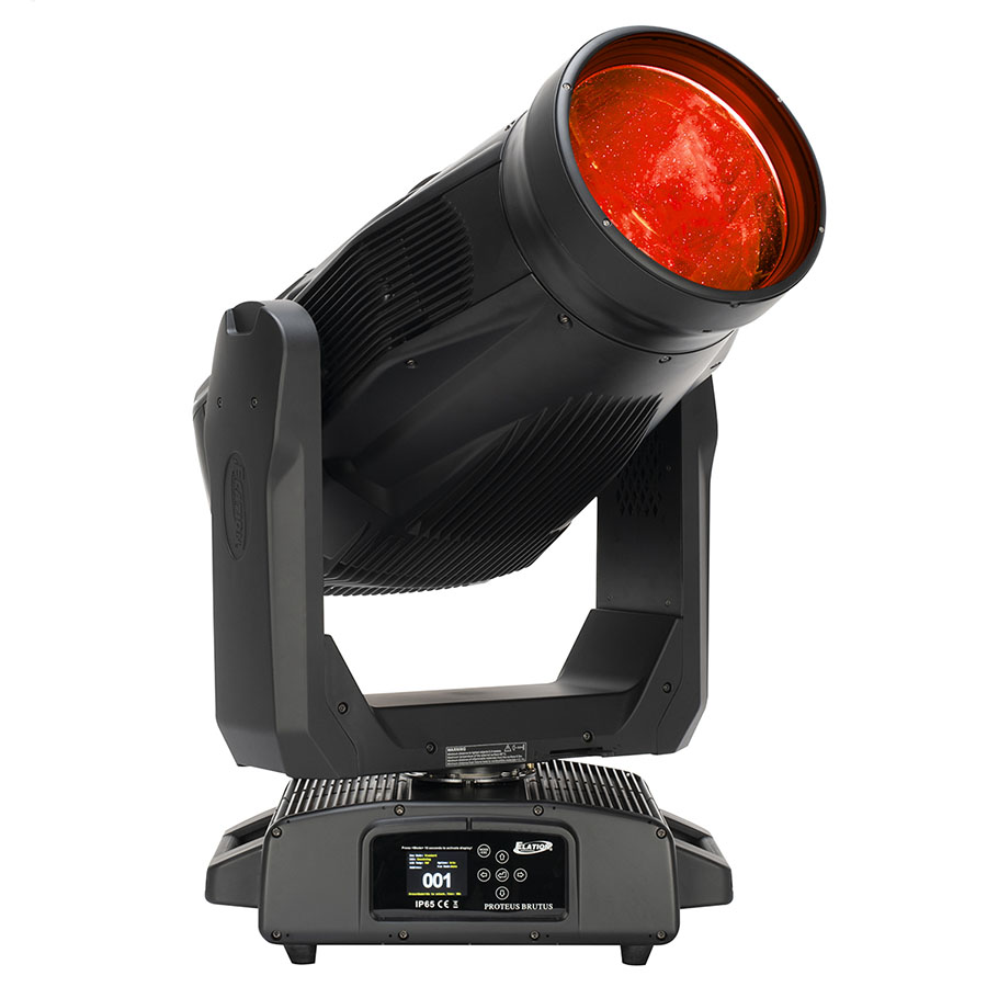 Proteus Brutus - изображение 3