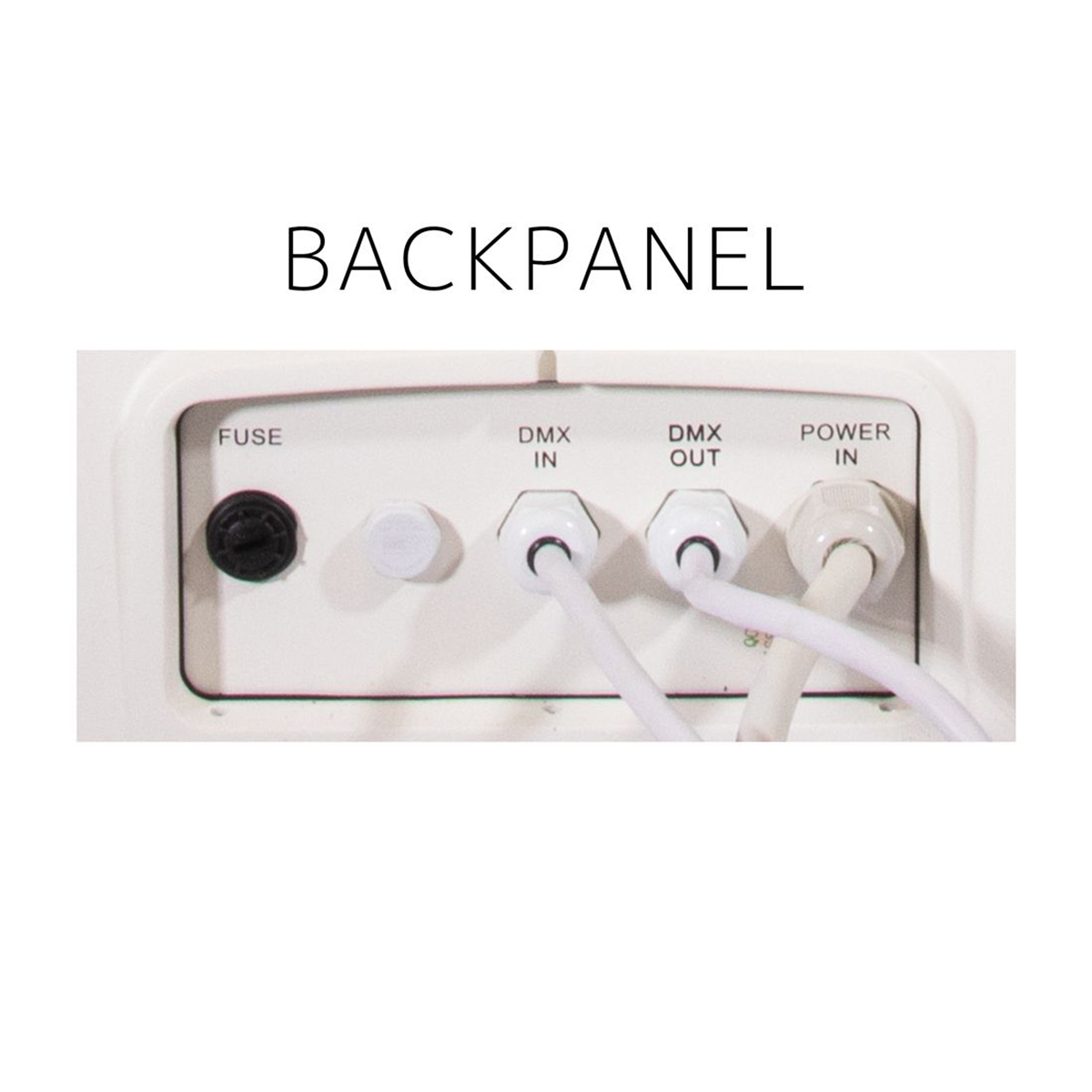 Proteus MAXIMUS WMG - изображение 8