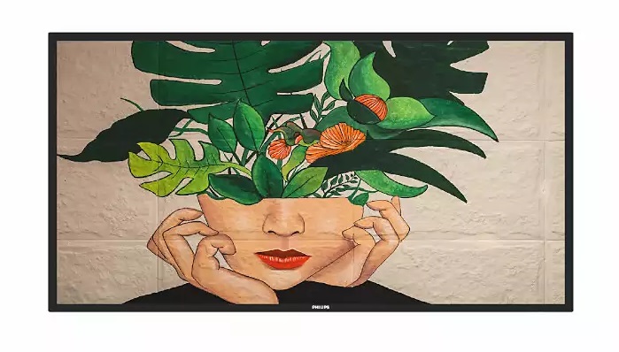 55BDL4550D/00 - главное фото