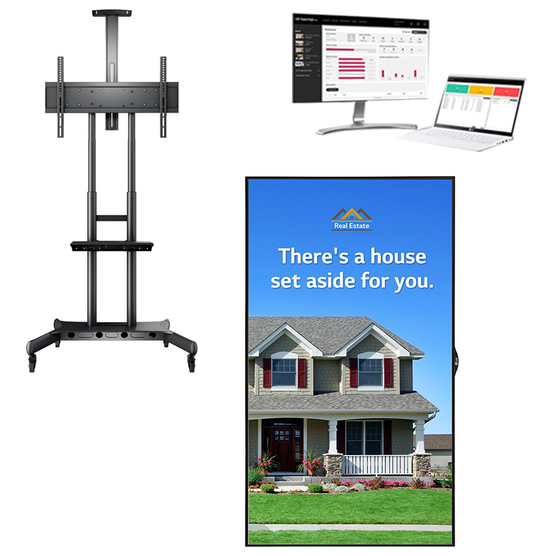 DS-55XSM - главное фото