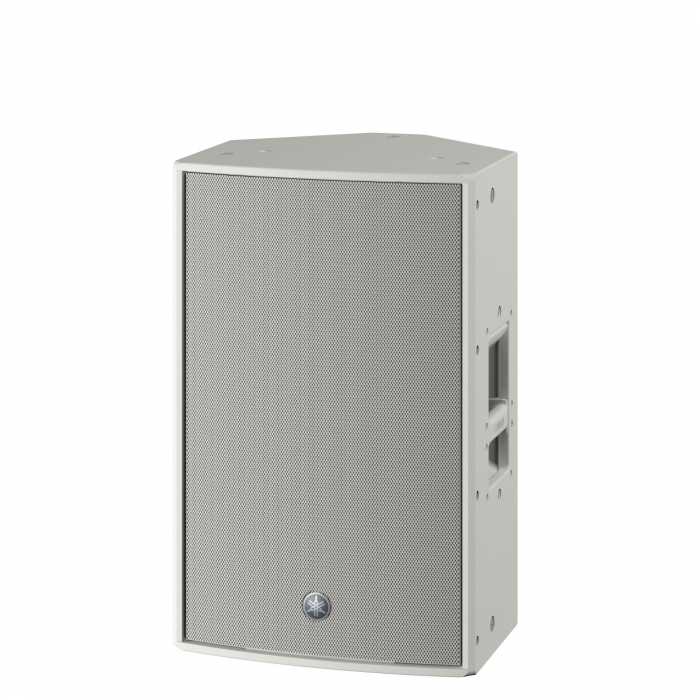 DZR12-DW - главное фото