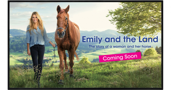 PN-HW431 - главное фото